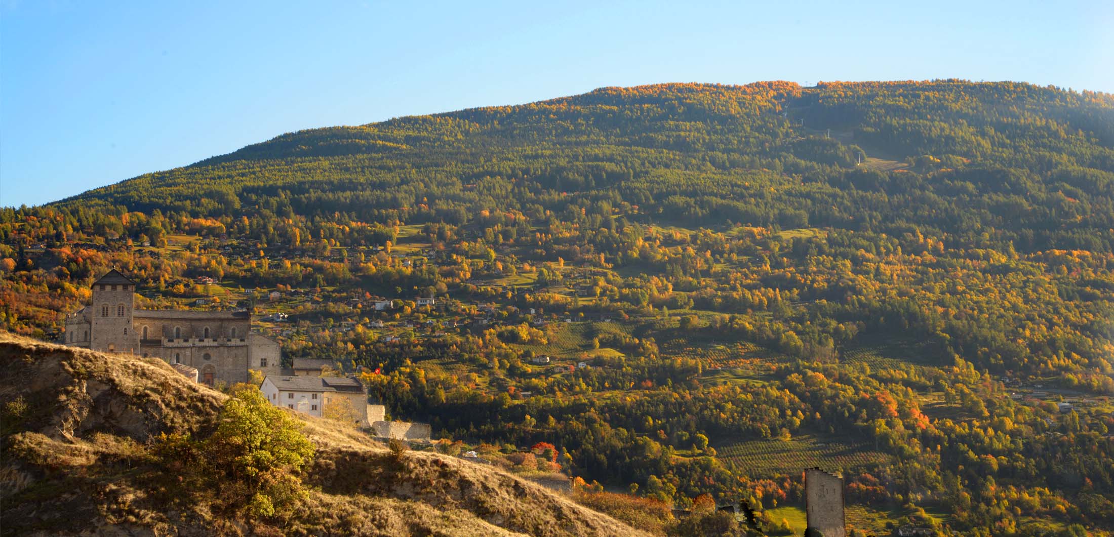 Racl'Agettes-comité-organisation-raclette-les-agettes